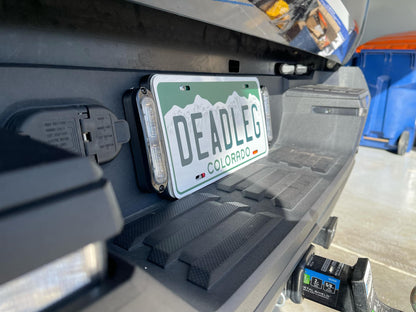 Ion/tion license plate mount